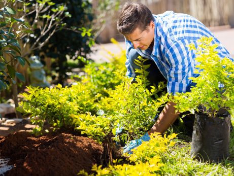 6 Tips on Planning For Landscaping with a New Construction or Remodeled Home