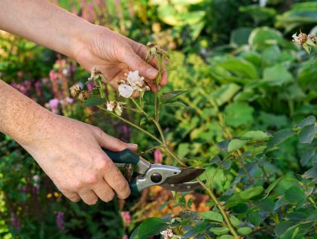 10 Fall Management Tips for Commercial Landscaping